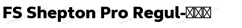 FS Shepton Pro Regul字体转换